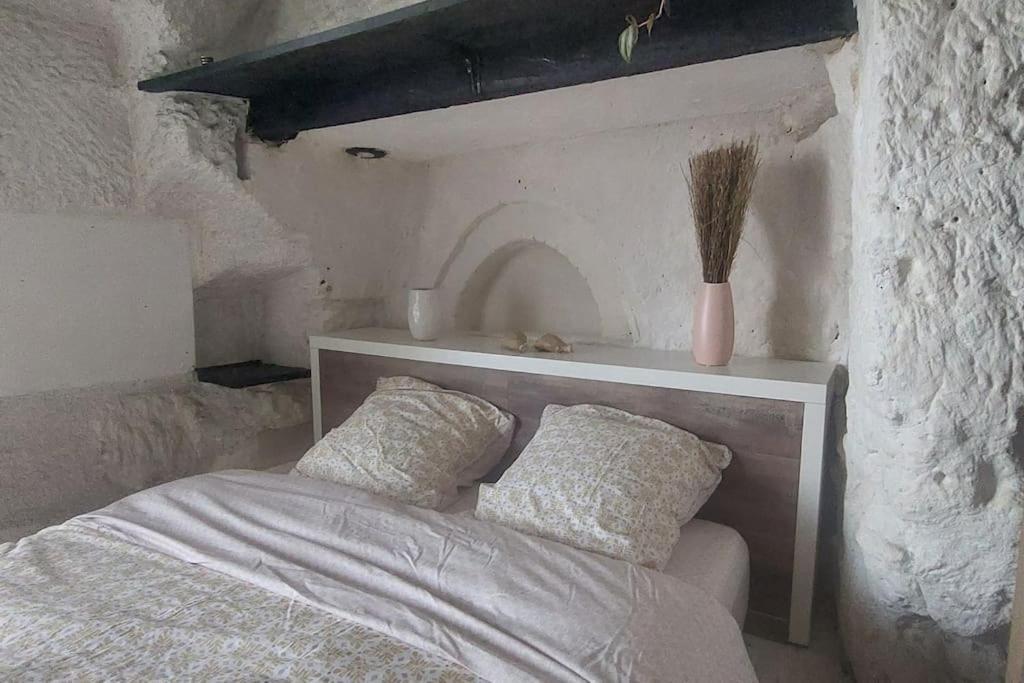 Holiday home Troglo Entre Caves Et Chateaux *